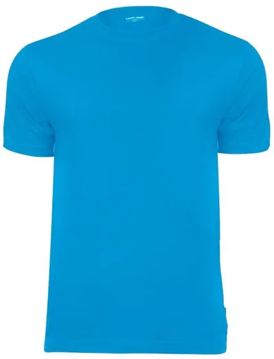 Pamja 1