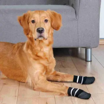 Çorape qeni Trixie kundër rrëshqitjes, L-XL, 15.5 x 7.5 cm, të zeza