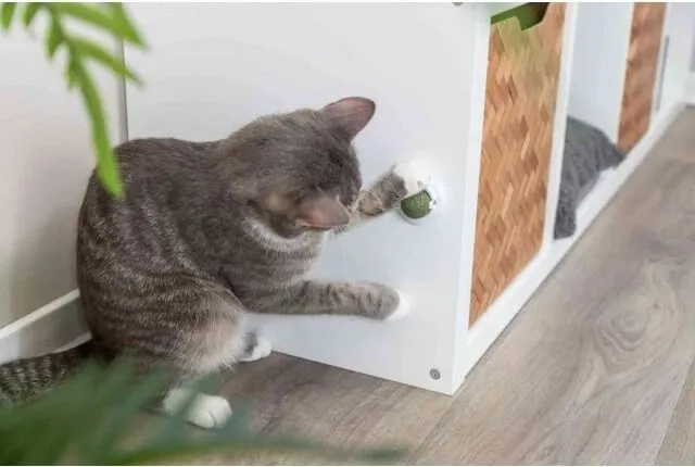 Lodër për mace Trixie Ball, catnip, montim ngjitës, 5 cm - 4