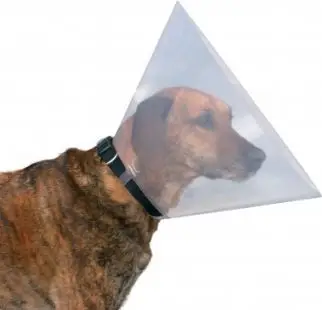 Jakë mbrojtëse plastike për kafshë Trixie Plastic Collar S M, 31 38cm, gjatësi 15cm, e tejdukshme