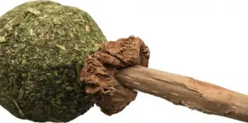 Lodër për mace Trixie Matatabi Lolly, 11cm, me catnip, kafe