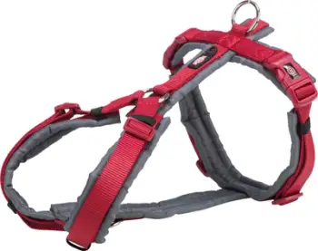 Parzmore për qen Trixie Premium Trekking, madhësia L 70–85 cm, gjerësi rripi 25 mm, e kuqe grafit