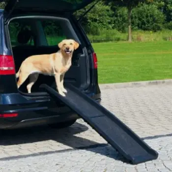 Rampë e palosshme për qen Trixie PetWalk TX-3939, e zezë