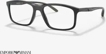 Emporio Armani EA3196 5017 56