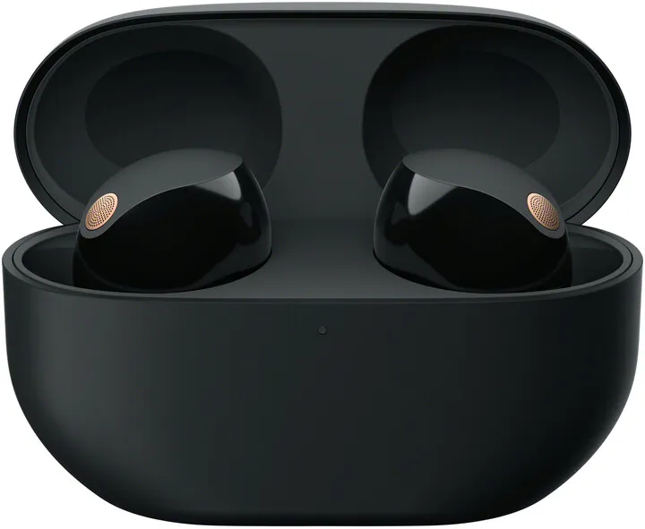 Pamja 8