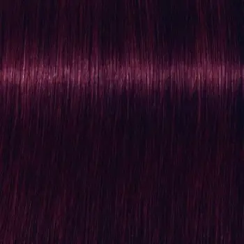 Ngjyrë për flokë Schwarzkopf Igora Vibrance Violet, 4-99, 60 ml