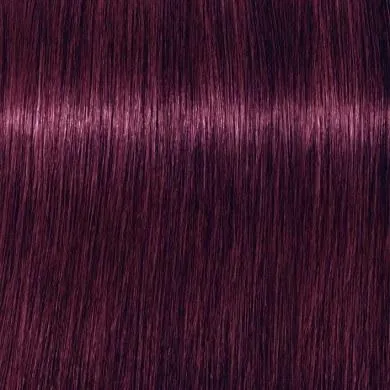 Ngjyrë për flokë Schwarzkopf Igora Vibrance Violet, 6-99, 60 ml - 1
