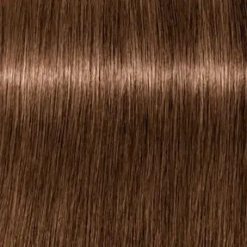 Ngjyrë për flokë Schwarzkopf Igora Royal, Chocolate GOLD 6-65, 60 ml