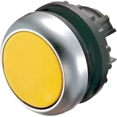 Pamja 1