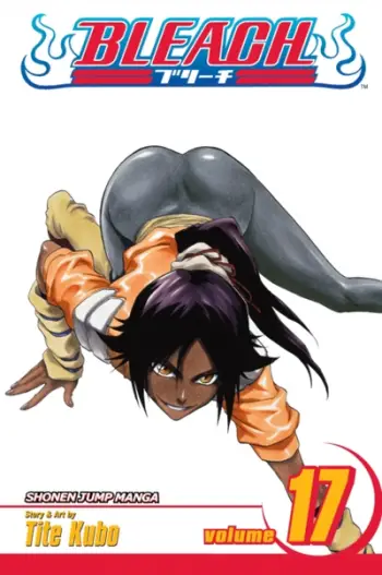 Bleach 17 - Tite Kubo