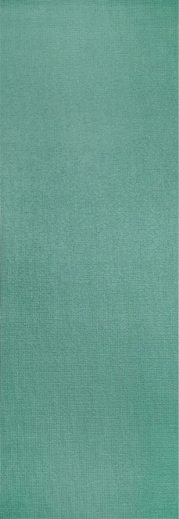 Tapet fitnesi Spokey Lightmat SPK-941541, 183 x 61 cm, 0.6 cm, blu