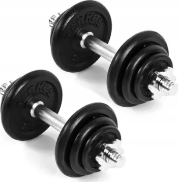 Set hantelash Spokey EGIR SPK-944479, 21kg, pisha gize
