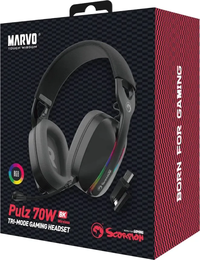 Pamja 3