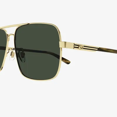 Pamja 3