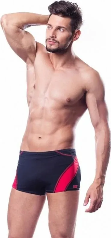 Pamja 1