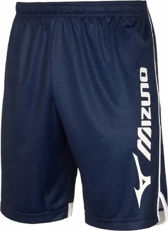 Pamja 1