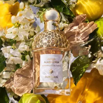 Eau de Toilette Guerlain Aqua Allegoria Bergamote Calabria Refill, 125ml