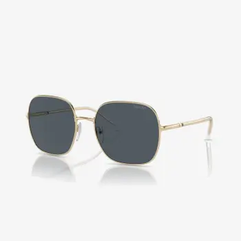 Prada PR 67XS ZVN09T 58