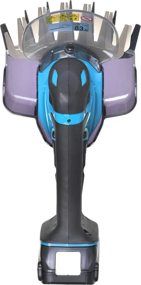 Pamja 8
