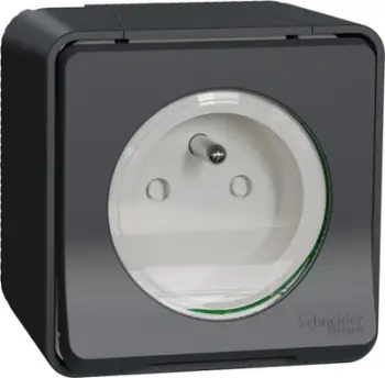 Prizë sipërfaqësore Schneider Electric Mureva Styl MUR36030, 2P+PE, IP55, antracit