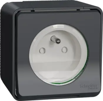 Prizë Schneider Electric Mureva Styl MUR35031, 2P+PE, IP55, antracit