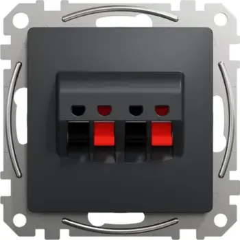 Prizë altoparlanti Schneider Electric Sedna Design SDD114411, 2x dalje, e antracit