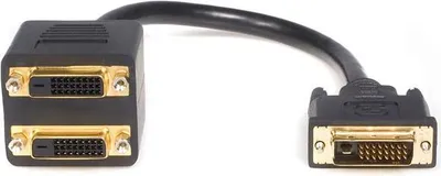 Pamja 1