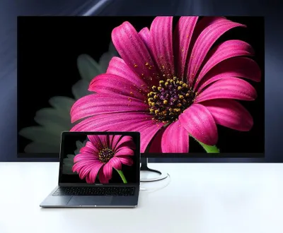 Kabllo USB-C UGREEN 90629, 5m, USB 3.2 Gen 1, e zezë - 2