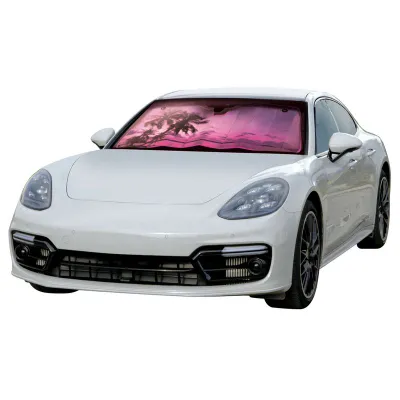 Pamja 2