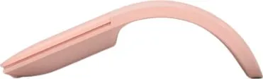 Pamja 3