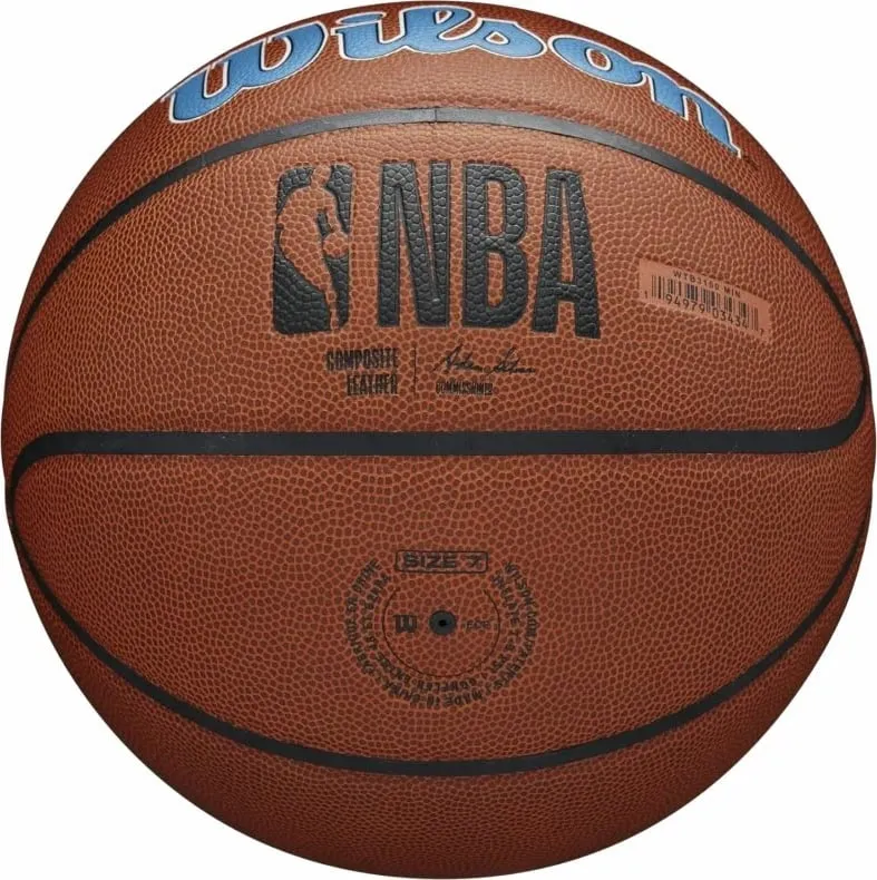 Pamja 3