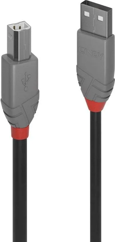 Kabllo Lindy USB-A - USB-B, 5m, e zezë - 1