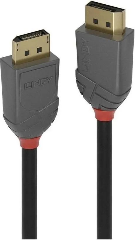 Kabllo Lindy, DisplayPort - DisplayPort, 1 m, e hirtë - 2