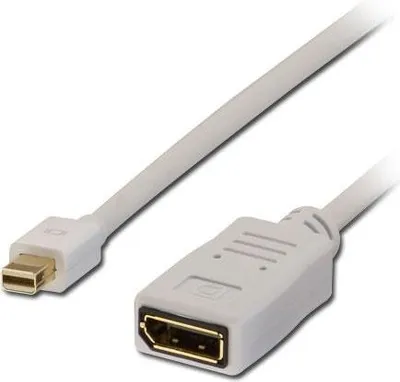 Kabllo Lindy DisplayPort Mini - DisplayPort Mini, 1.5m, e bardhë - 1