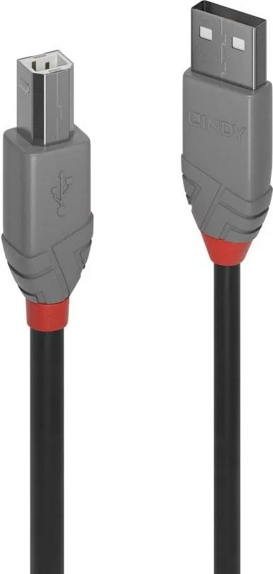 Kabllo USB Lindy A në B, 3 m, USB 2.0, e zezë - 1