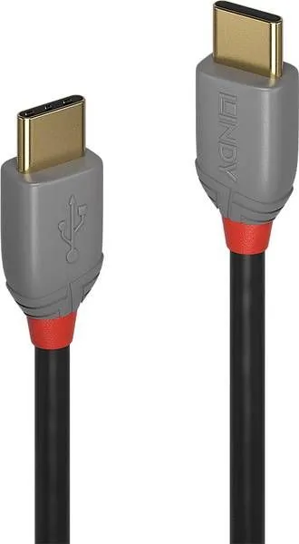 Kabllo Lindy USB - C, 2m, e hirtë - 1