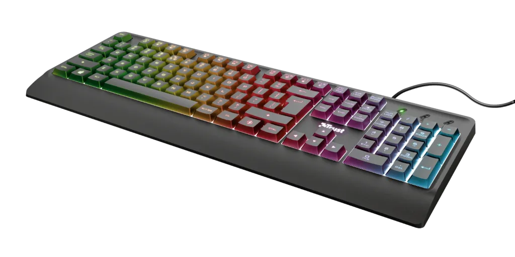 Pamja 2