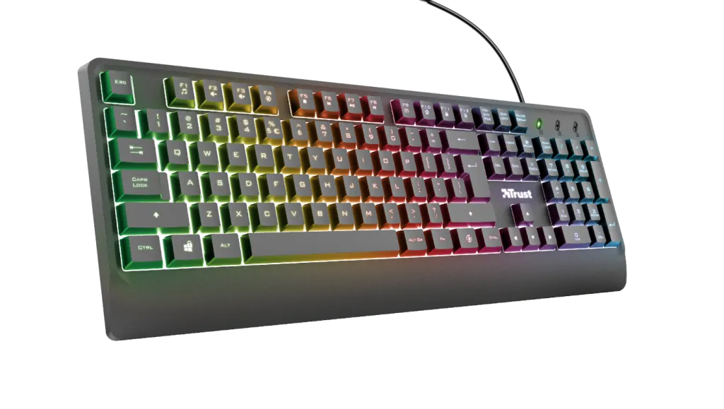 Pamja 4