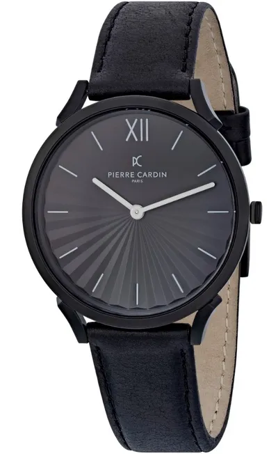 Ore Pierre Cardin CPI.2006 - 1