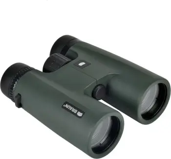 Dylbi Braun Wildline 8x42, e gjelbër