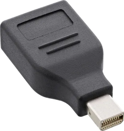 Adapter AV InLine 17196B, Mini DisplayPort në DisplayPort, 4K 60Hz, i zi - 2