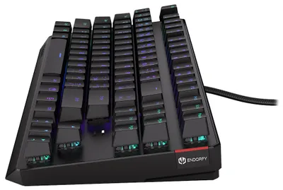 Tastierë Endorfy Thock TKL, Kailh Brown RGB, USB, e zezë - 7