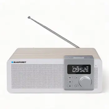 Radio Portative me Bluetooth, USB, microSD dhe FM BLAUPUNKT PP14BT