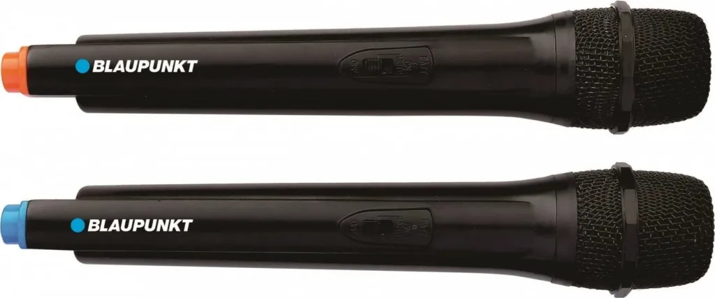 Altoparlant BLAUPUNKT PB06DB - 8