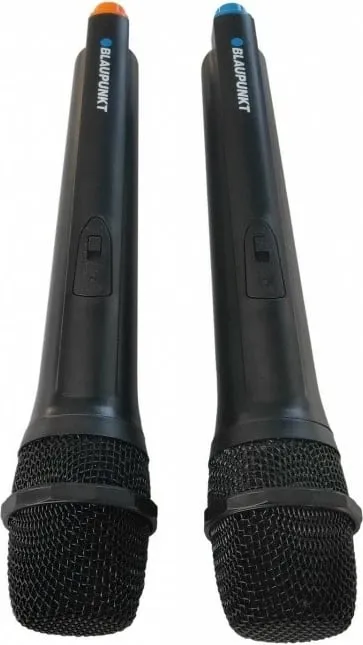 Altoparlant BLAUPUNKT PB06DB - 10