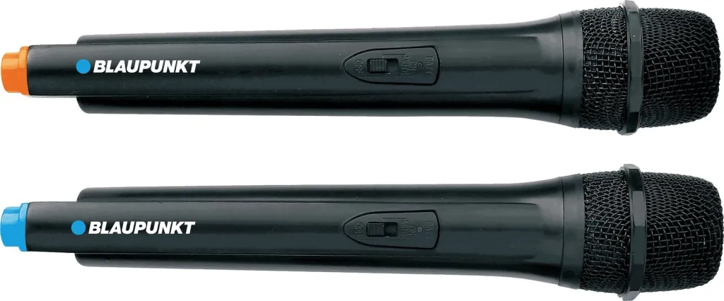 Altoparlant BLAUPUNKT PS10DB - 3