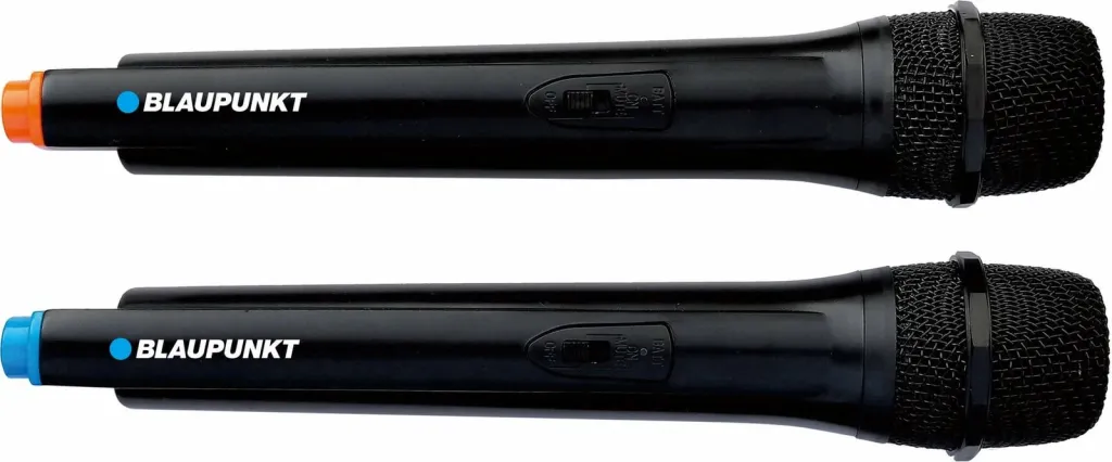 Altoparlant BLAUPUNKT PS10DB - 5