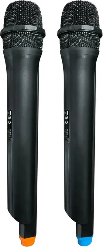 Altoparlant BLAUPUNKT PS10DB - 6