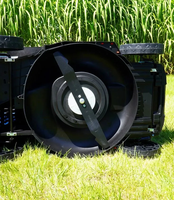 Kosë Elektrike BLAUPUNKT CL7010 - 5