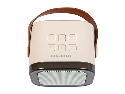 Altoparlant Bluetooth Bluetooth KARAOKE RGB 10W - 2
